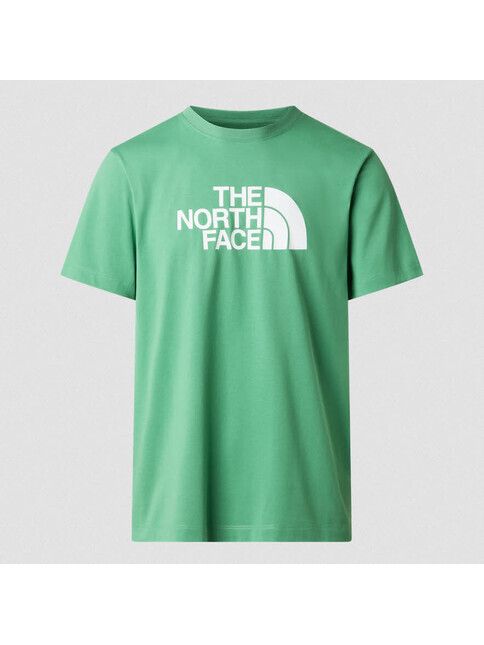 North Face T-Shirt Herren Evolution Half Dome in dimmed alg