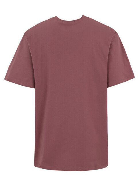 iriedaily T-Shirt Homeoffice