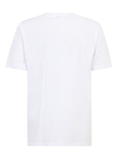 iriedaily T-Shirt Mini Flag Relaxed Tee white