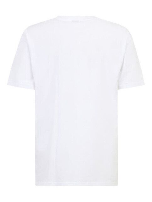 iriedaily T-Shirt Mini Flag Relaxed Tee white