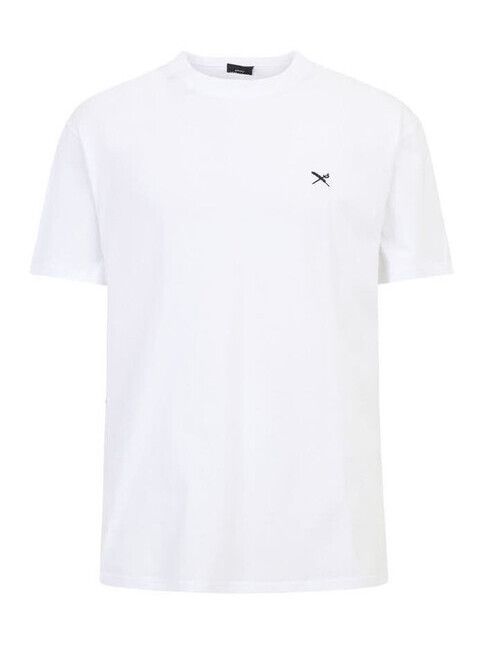 iriedaily T-Shirt Mini Flag Relaxed Tee white