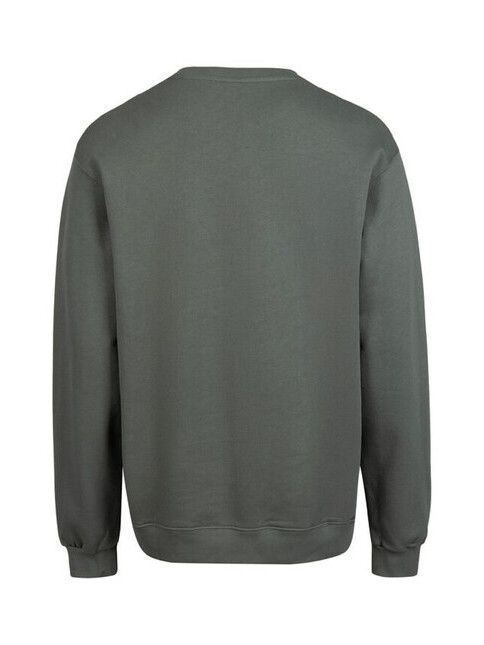 iriedaily Sweater Mini Flag 2 Crew in jungle green