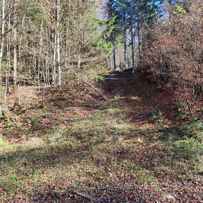hier gehts ca. 100 m steil gerade nach oben