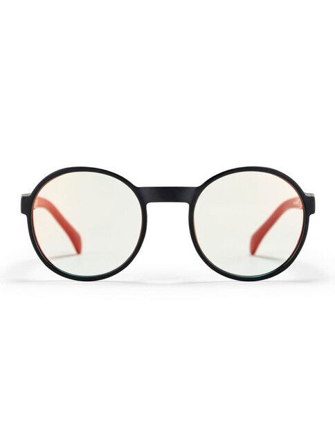 CHPO Sonnenbrille BGS II matte black