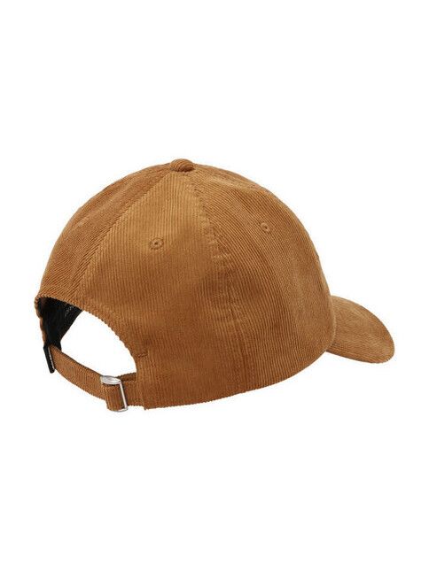 iriedaily Cap Corvin Dad Cap toffee