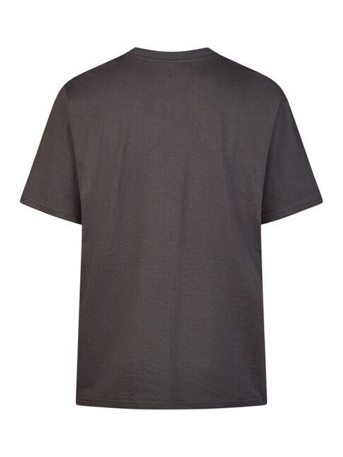 iriedaily T-Shirt Peaceride Emb in coal