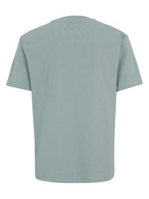 iriedaily T-Shirt Peaceride Emb Tee dark slate