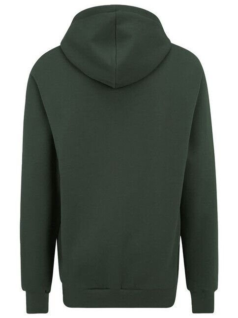 iriedaily Zipper Mini Flag 2 Zip Hood bottle green
