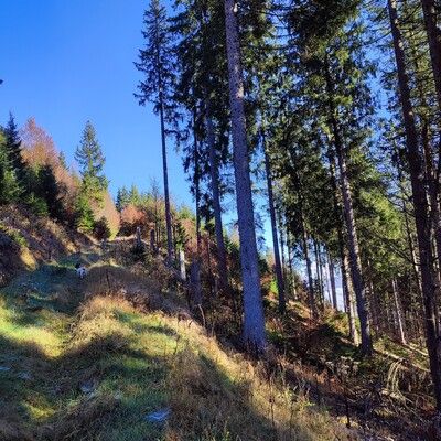 Der Weg hoch zum Sengalenkopf