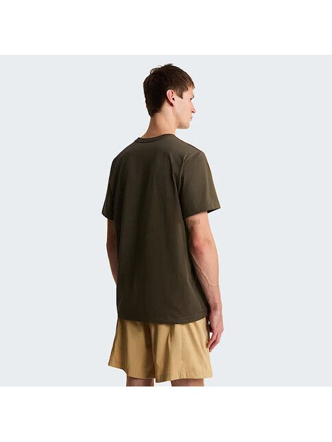 North Face T-Shirt Evolution Simple Drome new taupe green