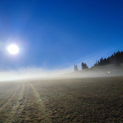 Morgennebel am Brenntkopf