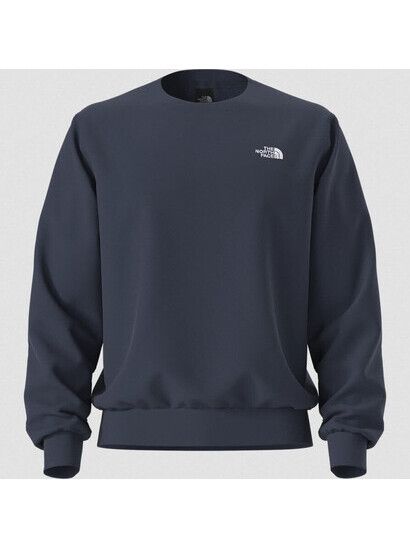 North Face Sweater Evolution Simple Dome Regular Crew