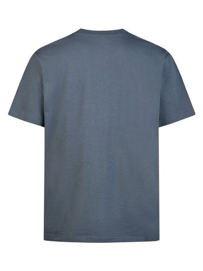 iriedaily T-Shirt Pigeon Finger in dark steel