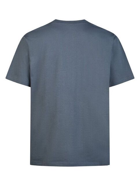 iriedaily T-Shirt Pigeon Finger in dark steel