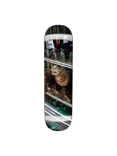 GX1000 Skateboard Bodega Cat 8.25"