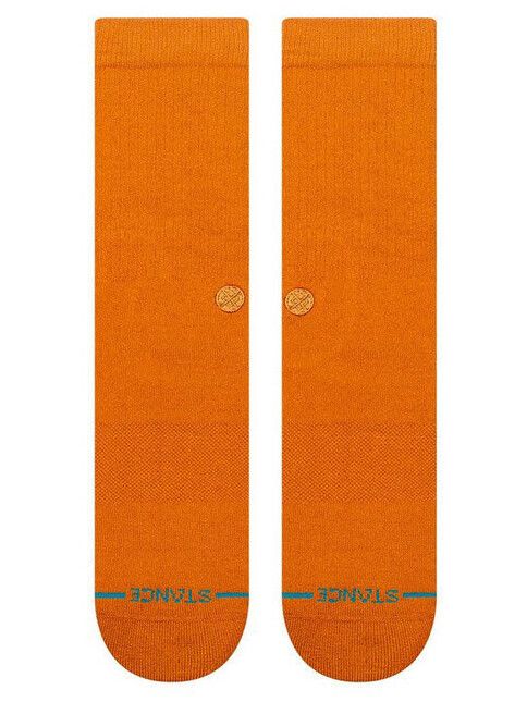 Stance Socken Icon spice