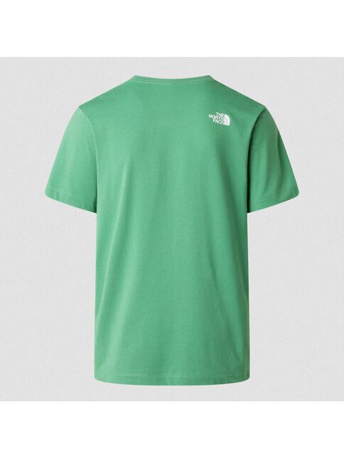 North Face T-Shirt Herren Evolution Half Dome in dimmed alg
