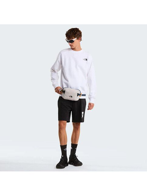 North Face Short NSE Box leicht & normal geschnitten