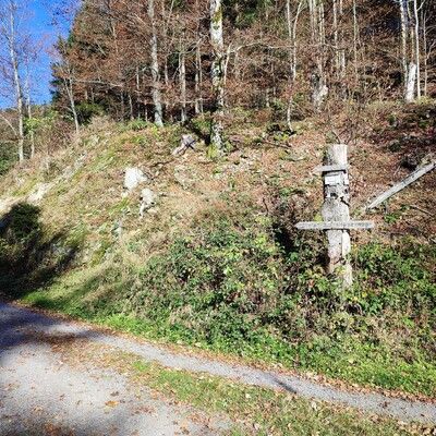 hier gehts links: Brenntkopffelsenweg