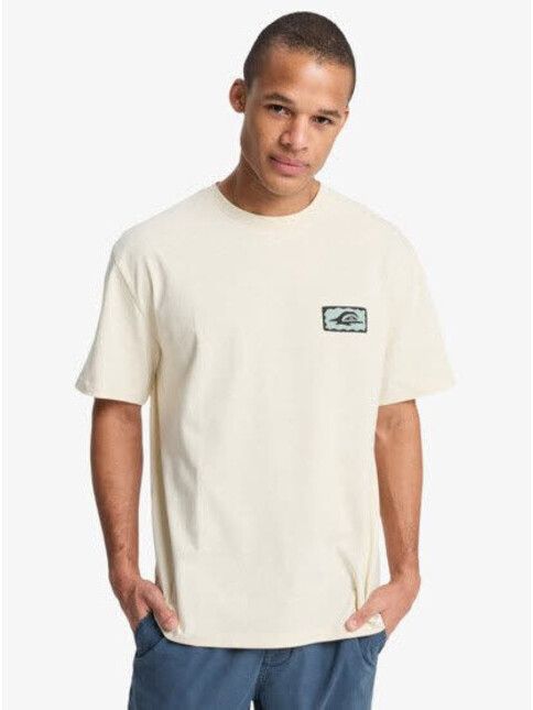 Quiksilver T-Shirt Serenity Splash bone white