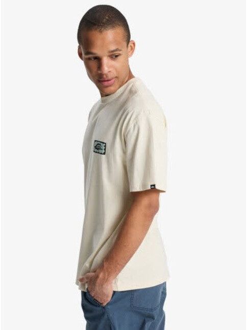 Quiksilver T-Shirt Serenity Splash bone white