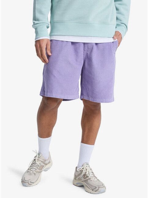 Quiksilver Short Taxer 18'' daybreak