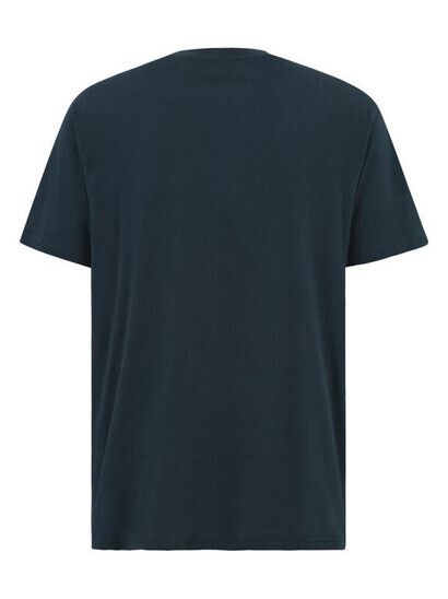 iriedaily T-Shirt Chestflag T-Shirt