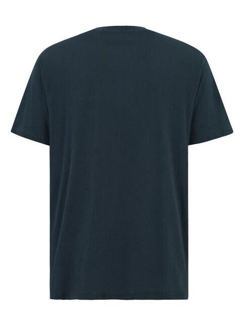 iriedaily T-Shirt Chestflag T-Shirt