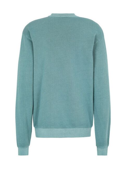 iriedaily Sweater Waterdeeper Crew jungle green