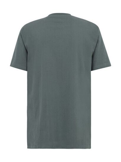 iriedaily T-Shirt Chestflag jungle green