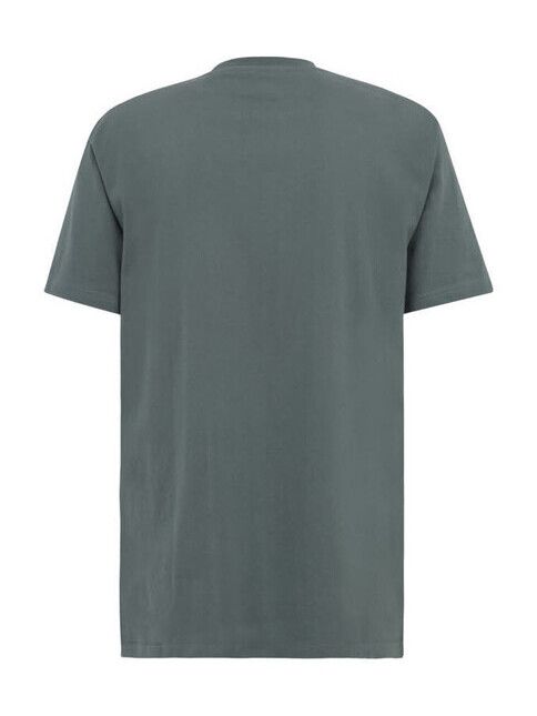 iriedaily T-Shirt Chestflag jungle green