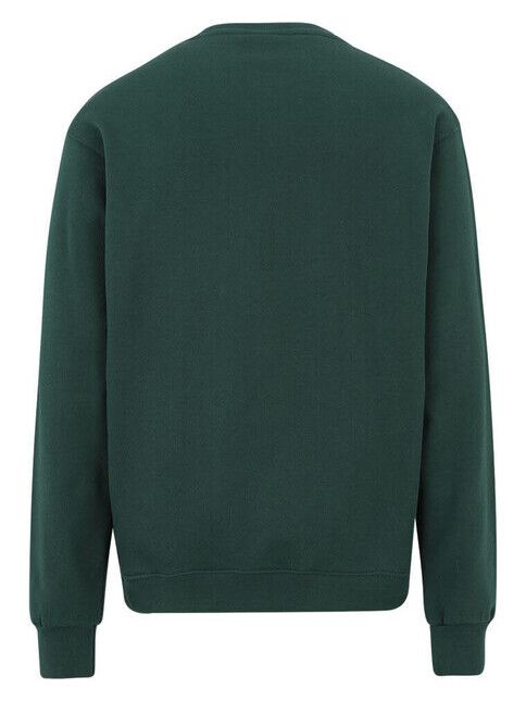 iriedaily Sweater Mini Flag 2 Crew bottle green