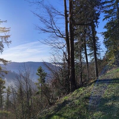 bestes Panorama Richtung Bernau