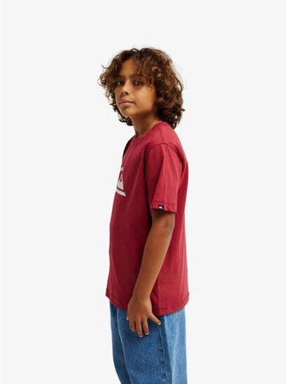 Quiksilver T-Shirt Comp Logo Kids burnt russet