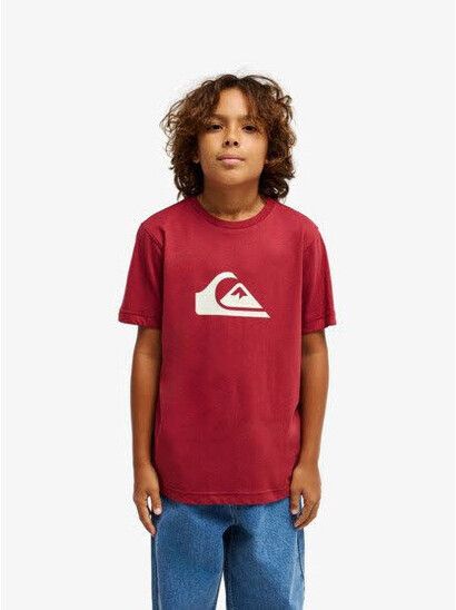 Quiksilver T-Shirt Comp Logo Kids burnt russet
