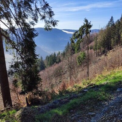 Blick Richtung Bernau und Wiesental