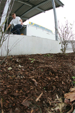 thumb_Bo-Heelflip-LQ