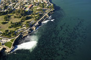 cwc_santacruz_1.jpg