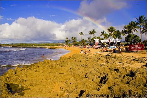 rainbow_gro