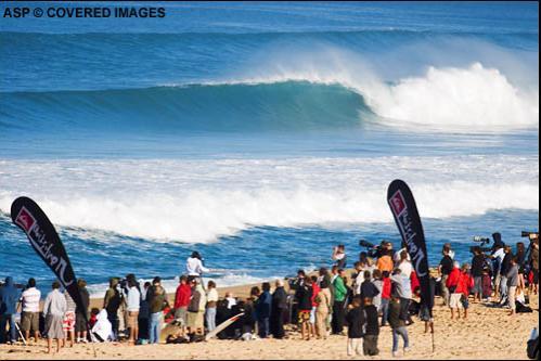 lineup8778quikfr06joe_l