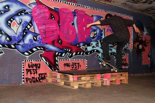 elch_fakie5-0quer.jpg elch_fakie5-0quer.jpg