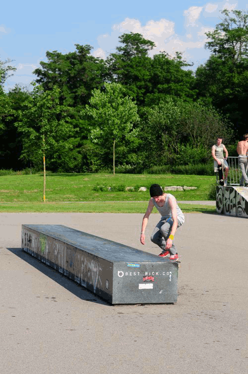 feivelflip2.gif feivelflip2.gif