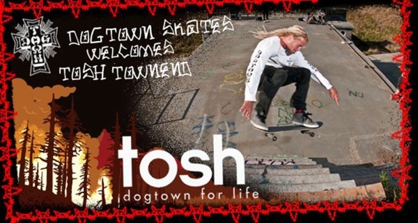 tosh_dogtown.jpg