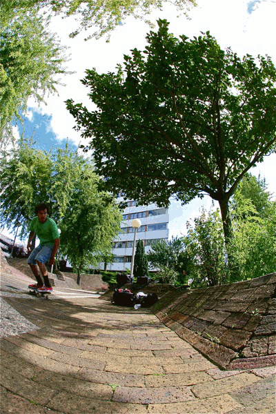 paulwalliebacktail.gif paulwalliebacktail.gif
