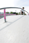 thumb_Michael_Fidschi_Tan_Nollie_FS_Feeble.gif