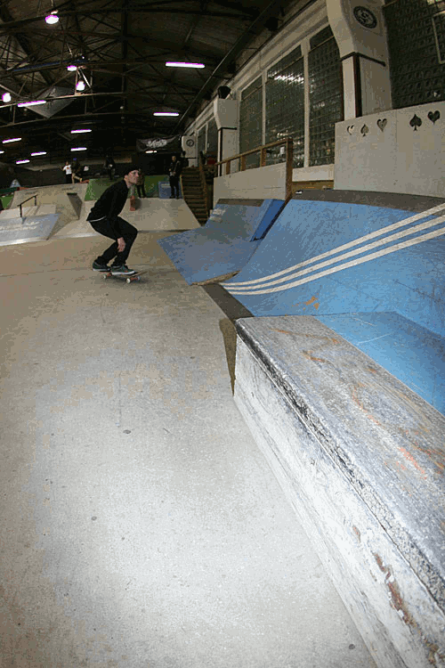 50tailrev.gif 50tailrev.gif