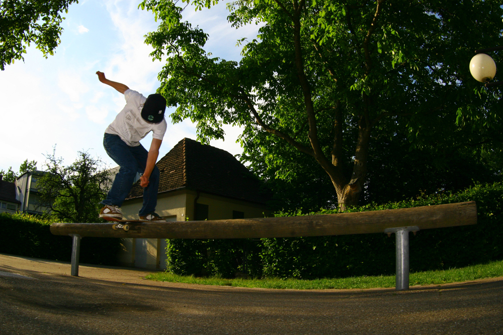 Davidschfakieswfrontboardy Davidschfakieswfrontboardy