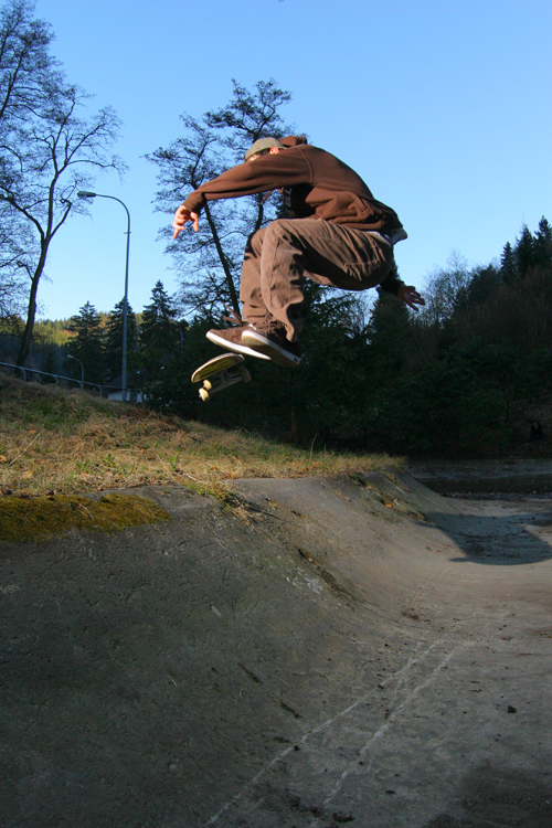 SebiFsFlipDesaster
