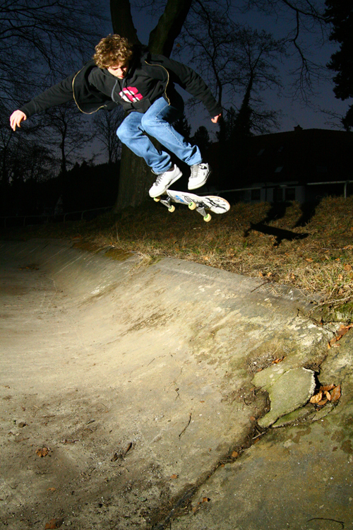 STevoBsFlip STevoBsFlip