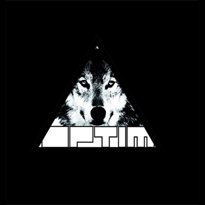 optim_pic.jpg